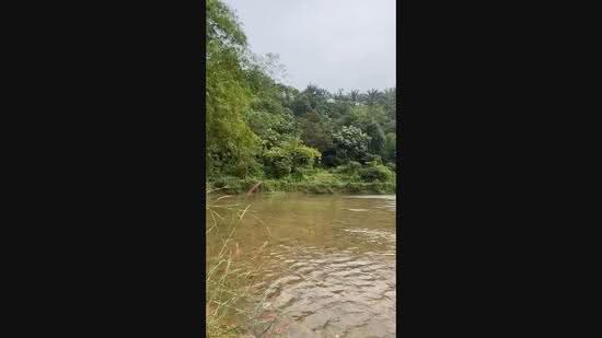 Agricultural Land for Sale in Kerling (Selangor) - CH LIM - PropertyGuru.com.my