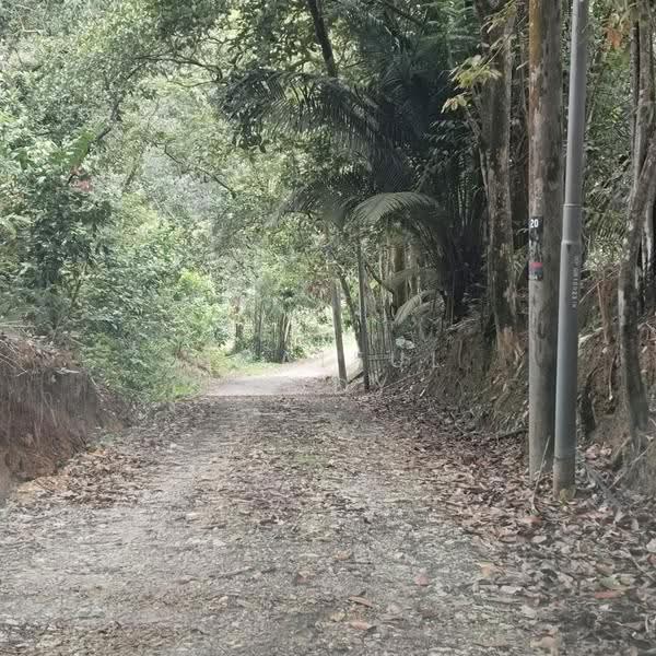 Agricultural Land for Sale in Bandar Gamuda Gardens (Rawang) - Shaiful Rudy - PropertyGuru.com.my
