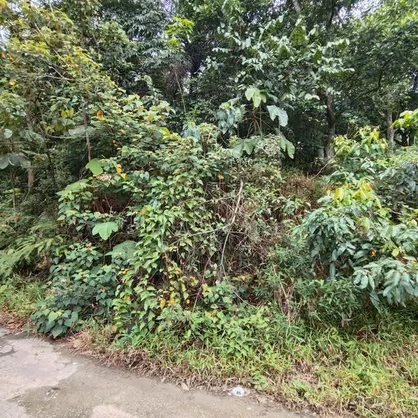 Agricultural Land for Sale in Bandar Gamuda Gardens (Rawang) - Shaiful Rudy - PropertyGuru.com.my