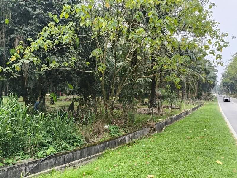 Tanah Pertanian untuk Dijual di Bukit Mertajam (Penang) - Kai Meng Liew - PropertyGuru.com.my