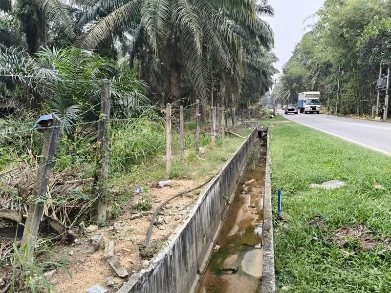Tanah Pertanian untuk Dijual di Bukit Mertajam (Penang) - Kai Meng Liew - PropertyGuru.com.my