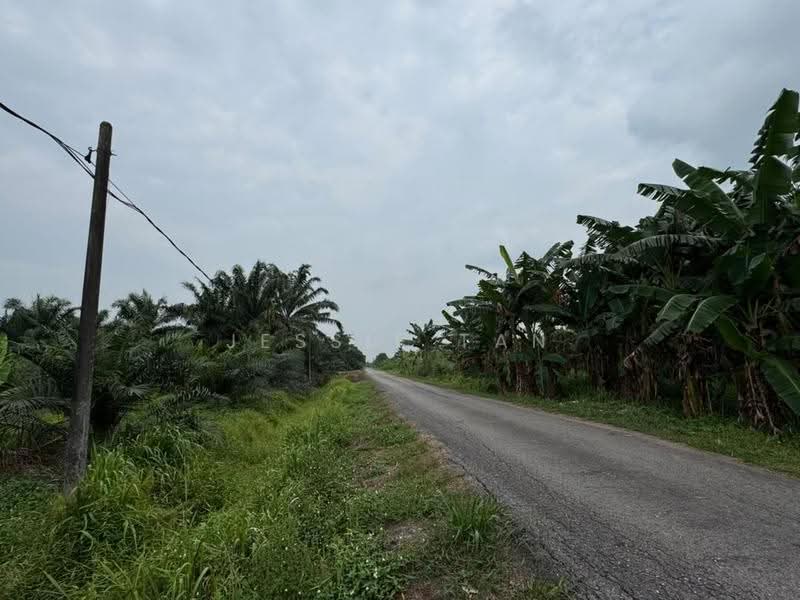 Tanah Pertanian untuk Dijual di Pontian (Johor) - Jessie Tan - PropertyGuru.com.my