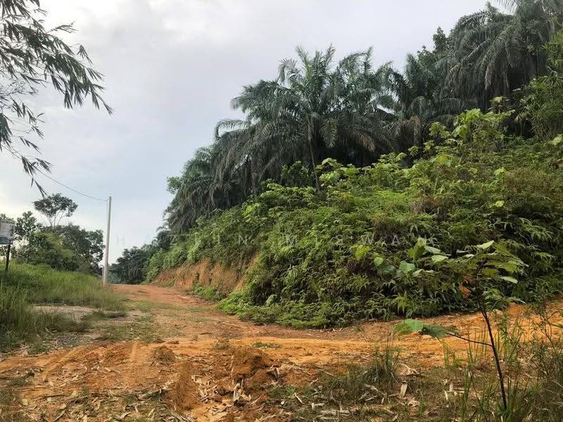 Agricultural Land for Sale in Kampung Bukit Cherakah (Shah Alam) - Hazlin Miswan - PropertyGuru.com.my