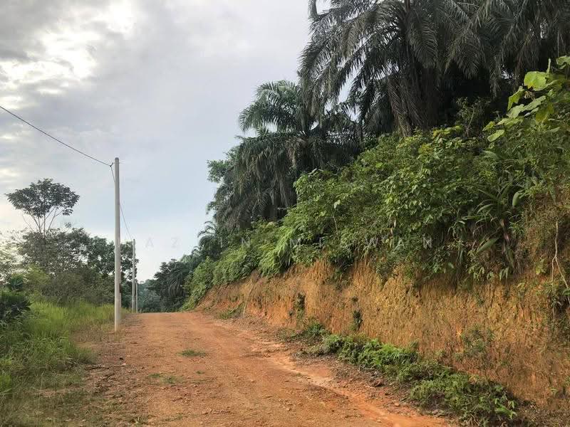 Agricultural Land for Sale in Kampung Bukit Cherakah (Shah Alam) - Hazlin Miswan - PropertyGuru.com.my