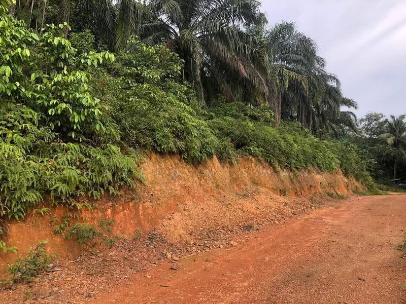 Agricultural Land for Sale in Kampung Bukit Cherakah (Shah Alam) - Hazlin Miswan - PropertyGuru.com.my