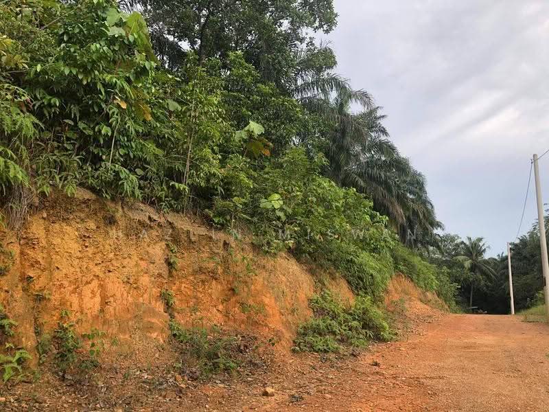 Agricultural Land for Sale in Kampung Bukit Cherakah (Shah Alam) - Hazlin Miswan - PropertyGuru.com.my