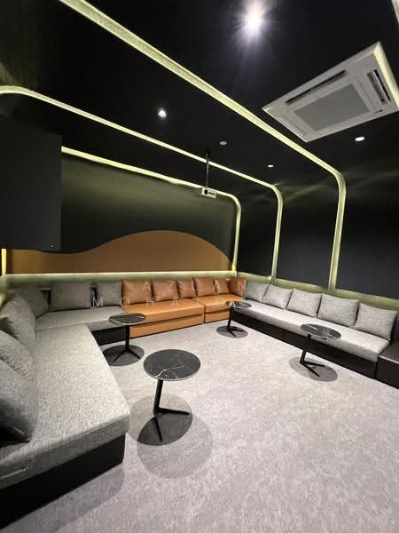 Theatre/ Karaoke room