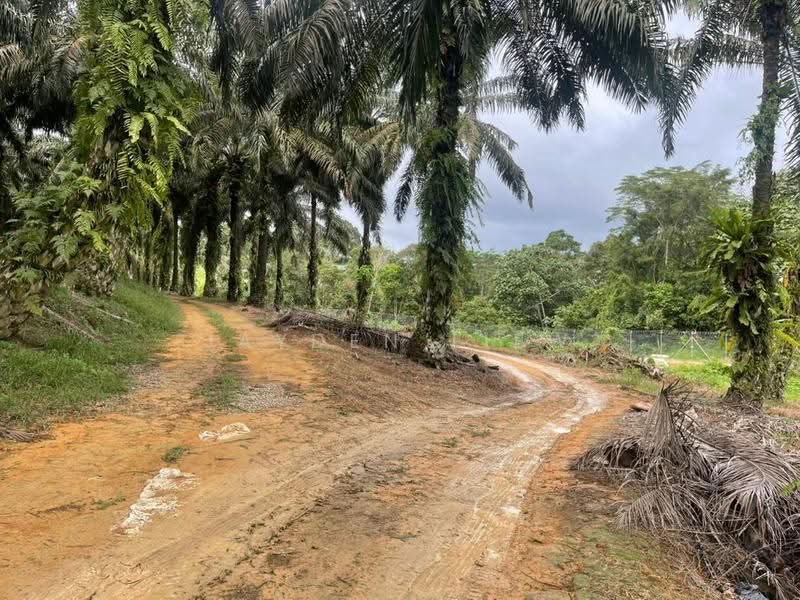 Tanah Pertanian untuk Dijual di Kota Tinggi (Johor) - Jayden Liew - PropertyGuru.com.my