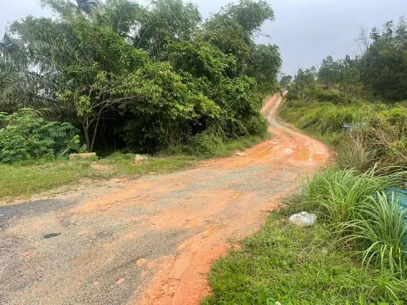 Tanah Pertanian untuk Dijual di Kota Tinggi (Johor) - Jayden Liew - PropertyGuru.com.my