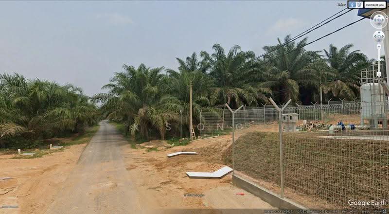 Tanah Pertanian untuk Dijual di Segamat (Johor) - K S Ong - Exterior - PropertyGuru.com.my