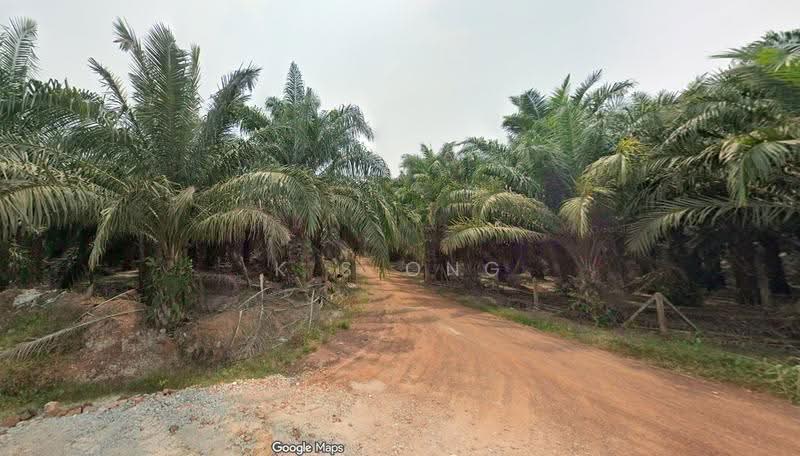 Tanah Pertanian untuk Dijual di Segamat (Johor) - K S Ong - PropertyGuru.com.my