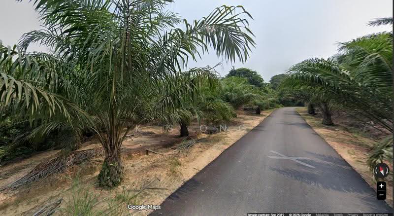 Tanah Pertanian untuk Dijual di Segamat (Johor) - K S Ong - PropertyGuru.com.my