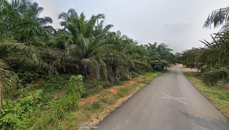 Tanah Pertanian untuk Dijual di Segamat (Johor) - K S Ong - PropertyGuru.com.my