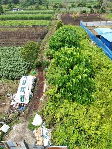 Tanah Pertanian untuk Dijual di Telok Panglima Garang (Selangor) - Zairul Asrah Zulkefli - PropertyGuru.com.my