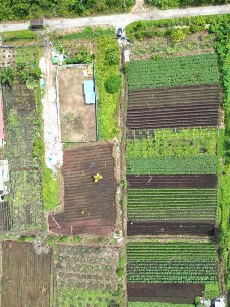 Tanah Pertanian untuk Dijual di Telok Panglima Garang (Selangor) - Zairul Asrah Zulkefli - PropertyGuru.com.my