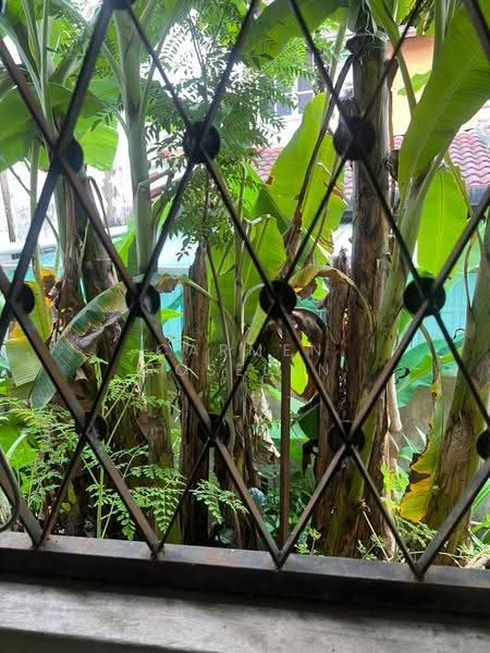 2.5-storey Terraced House for Sale in Damansara Heights (Kuala Lumpur) - Carmen Roselyn - PropertyGuru.com.my