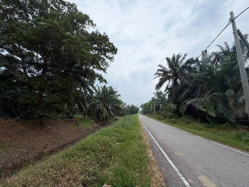 Tanah Pertanian untuk Dijual di Benut (Johor) - Jayden Liew - PropertyGuru.com.my