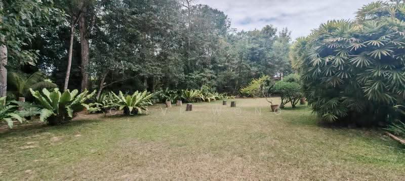 Residential Land for Sale in Kota Kinabalu (Sabah) - Clive Wong - Garden - PropertyGuru.com.my