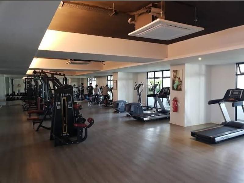 Condominium for Sale at Skyview Residence - Theresa Chew - Gym - PropertyGuru.com.my