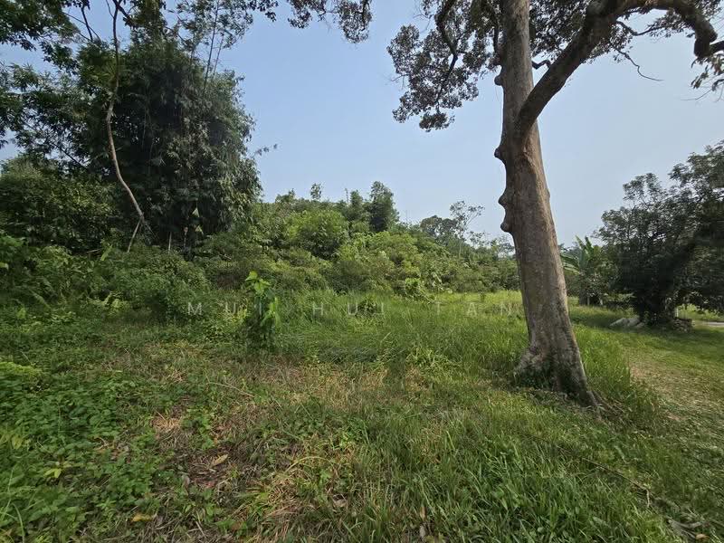 Tanah Pertanian untuk Dijual di Tanjung Kupang (Iskandar Puteri (Nusajaya)) - Mui Hui Tan - Exterior - PropertyGuru.com.my
