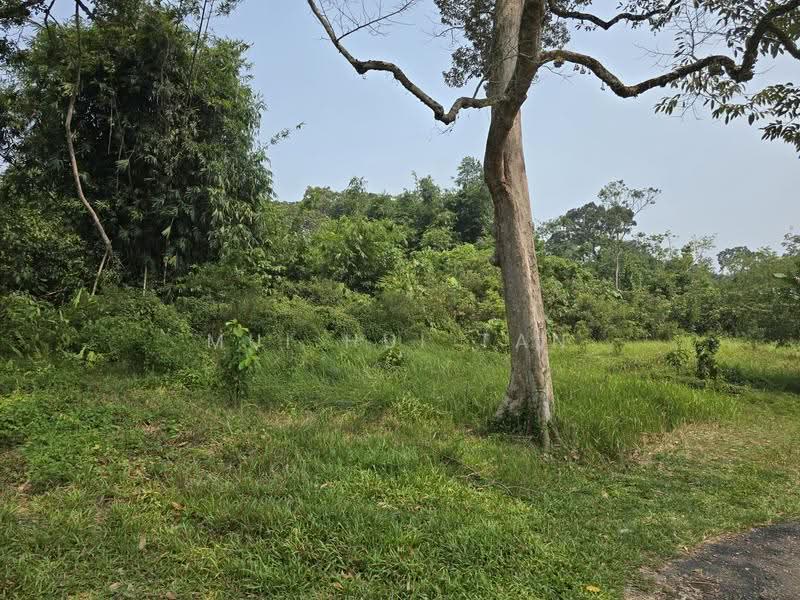 Tanah Pertanian untuk Dijual di Tanjung Kupang (Iskandar Puteri (Nusajaya)) - Mui Hui Tan - Exterior - PropertyGuru.com.my