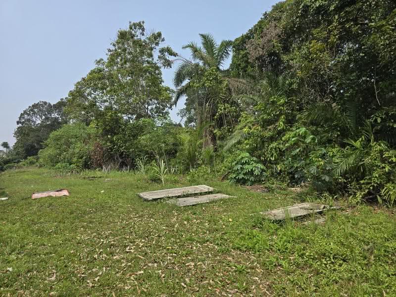 Tanah Pertanian untuk Dijual di Tanjung Kupang (Iskandar Puteri (Nusajaya)) - Mui Hui Tan - PropertyGuru.com.my