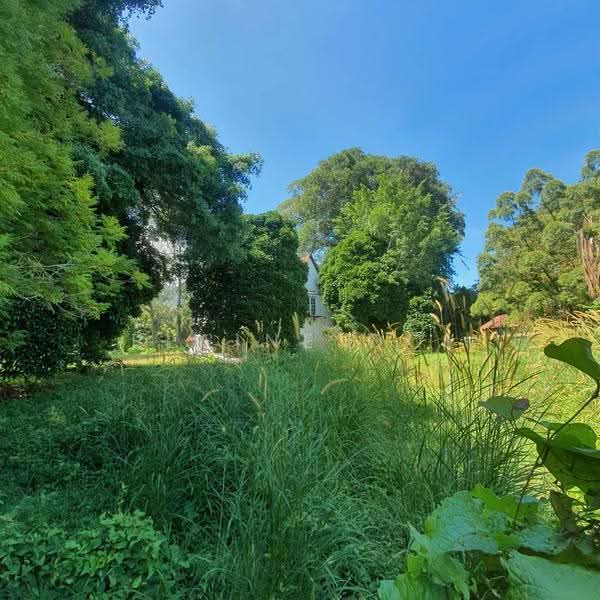 Bungalow House for Sale in George Town (Penang) - Elaine Ooi - Exterior - PropertyGuru.com.my