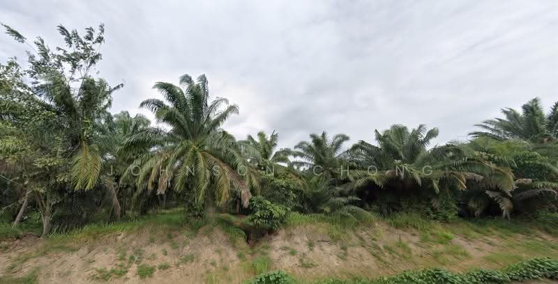 Tanah Pertanian untuk Dijual di Tangkak (Johor) - Johnson Chong - PropertyGuru.com.my