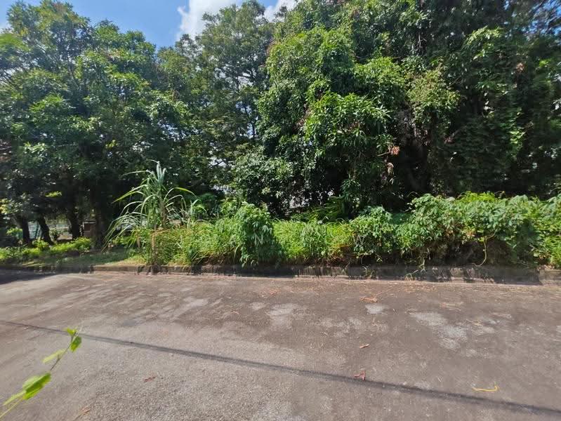 1-storey Terraced House for Sale in Batu Berendam (Melaka) - Joan Low - PropertyGuru.com.my