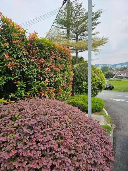 Rumah Teres 2-Tingkat untuk Dijual di Bandar Kinrara Seksyen 5 (Bandar Kinrara) - Alex Tong - PropertyGuru.com.my