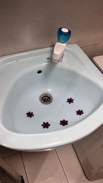 Condominium for Sale at PARC Regency (Residensi Masai) - Melinda Ee - Bathroom - PropertyGuru.com.my