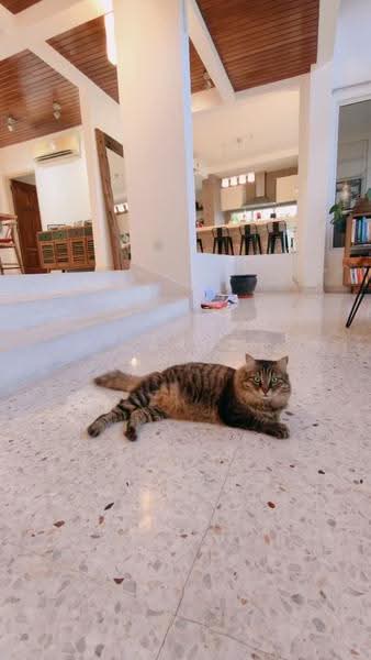 Bungalow House for Sale in Bukit Bandaraya (Bangsar) - Carol Yong - Living Room - PropertyGuru.com.my