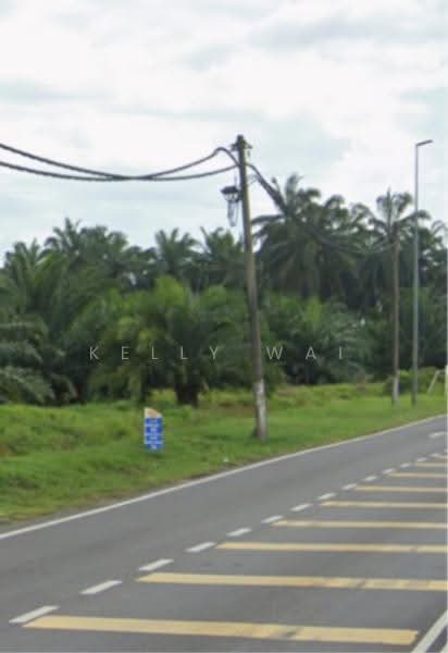 Agricultural Land for Sale in Sungai Pelek (Selangor) - Kelly Wai - PropertyGuru.com.my