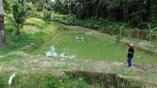 Agricultural Land for Sale in Hulu Semenyih (Selangor) - Amirul Nasyriq - PropertyGuru.com.my