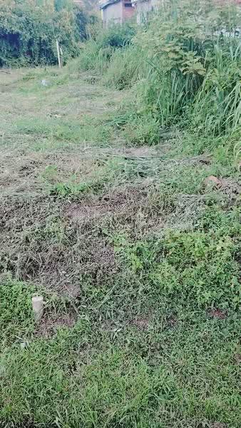 Tanah Kediaman untuk Dijual di Kemaman (Terengganu) - Fazielawatie Ishak - Exterior - PropertyGuru.com.my