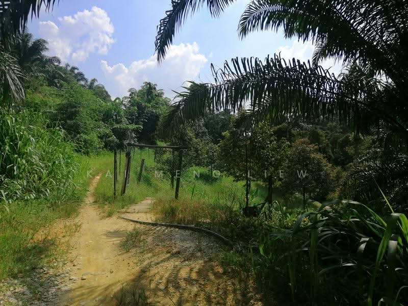 Agricultural Land for Sale in Bukit Mertajam (Penang) - Kai Meng Liew - Exterior - PropertyGuru.com.my