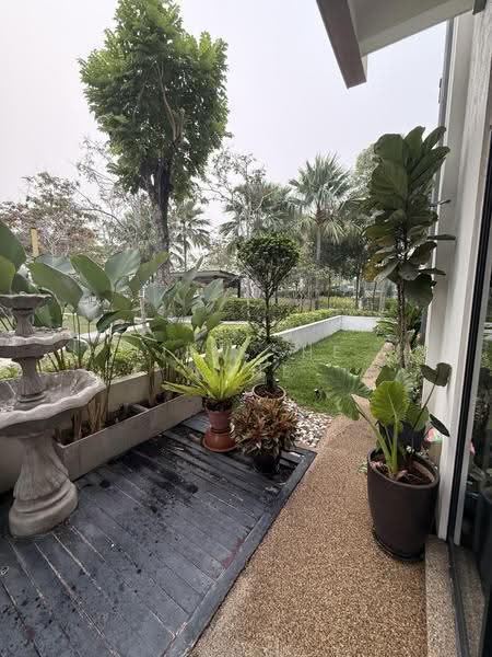 Terraced House for Rent in Cyberjaya (Selangor) - Liew She Anne - Garden - PropertyGuru.com.my