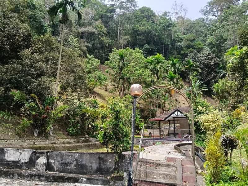 Tanah Pertanian untuk Dijual di Pekan Hulu Langat (Hulu Langat) - Liza Khalid - PropertyGuru.com.my