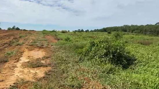 Tanah Pertanian untuk Dijual di Bukit Katil (Melaka) - Eugene Yap - PropertyGuru.com.my