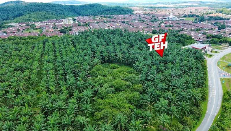 Residential Land for Sale in Sungai Petani (Kedah) - Teh Guan Fong - PropertyGuru.com.my