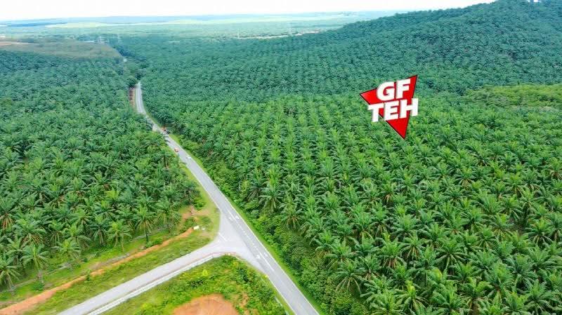 Residential Land for Sale in Sungai Petani (Kedah) - Teh Guan Fong - PropertyGuru.com.my