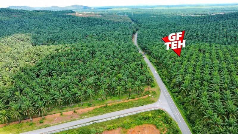 Residential Land for Sale in Sungai Petani (Kedah) - Teh Guan Fong - PropertyGuru.com.my