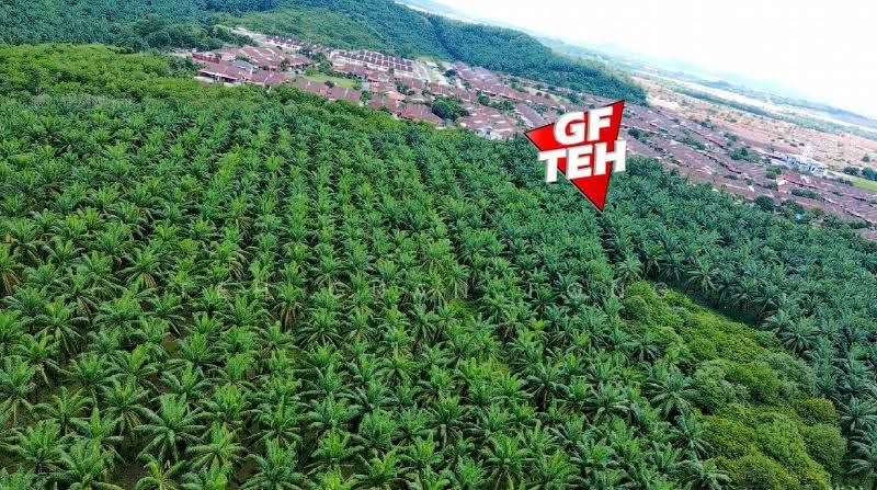 Residential Land for Sale in Sungai Petani (Kedah) - Teh Guan Fong - PropertyGuru.com.my