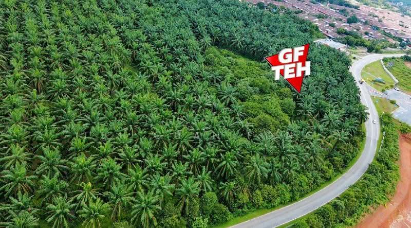 Residential Land for Sale in Sungai Petani (Kedah) - Teh Guan Fong - PropertyGuru.com.my