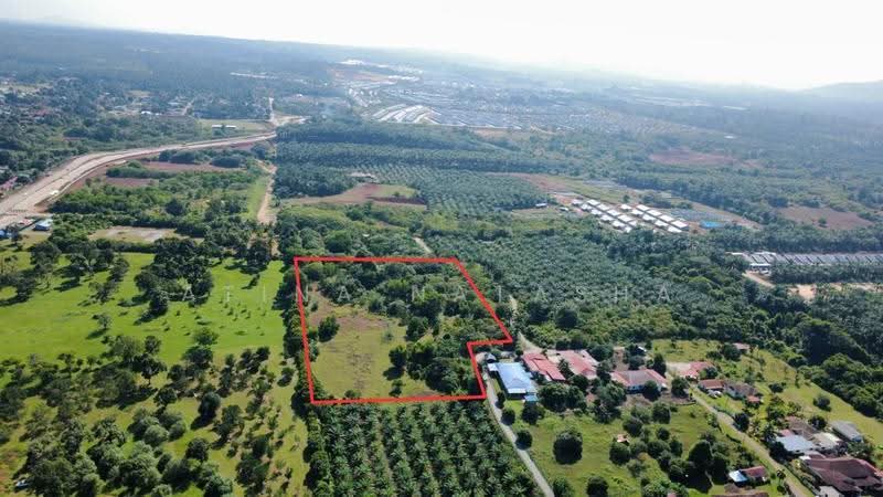Tanah Pertanian untuk Dijual di Felda Bukit Goh (Kuantan) - Atina Natasha - PropertyGuru.com.my