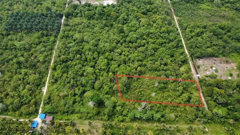 Tanah Pertanian untuk Dijual di Felda Bukit Goh (Kuantan) - Atina Natasha - PropertyGuru.com.my