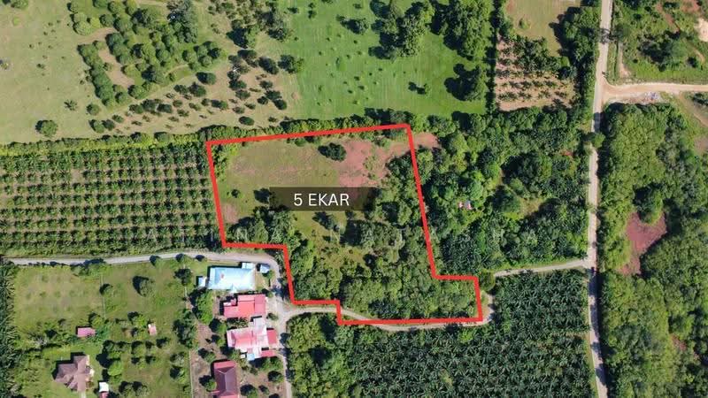 Tanah Pertanian untuk Dijual di Felda Bukit Goh (Kuantan) - Atina Natasha - PropertyGuru.com.my