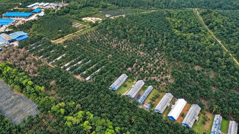 Tanah Komersial untuk Dijual di Taman Nusa Idaman (Iskandar Puteri (Nusajaya)) - Joshua Song - PropertyGuru.com.my