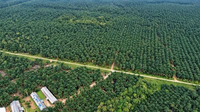 Tanah Komersial untuk Dijual di Taman Nusa Idaman (Iskandar Puteri (Nusajaya)) - Joshua Song - PropertyGuru.com.my