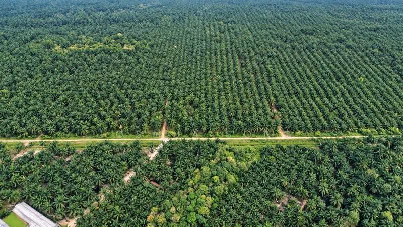 Tanah Komersial untuk Dijual di Taman Nusa Idaman (Iskandar Puteri (Nusajaya)) - Joshua Song - PropertyGuru.com.my